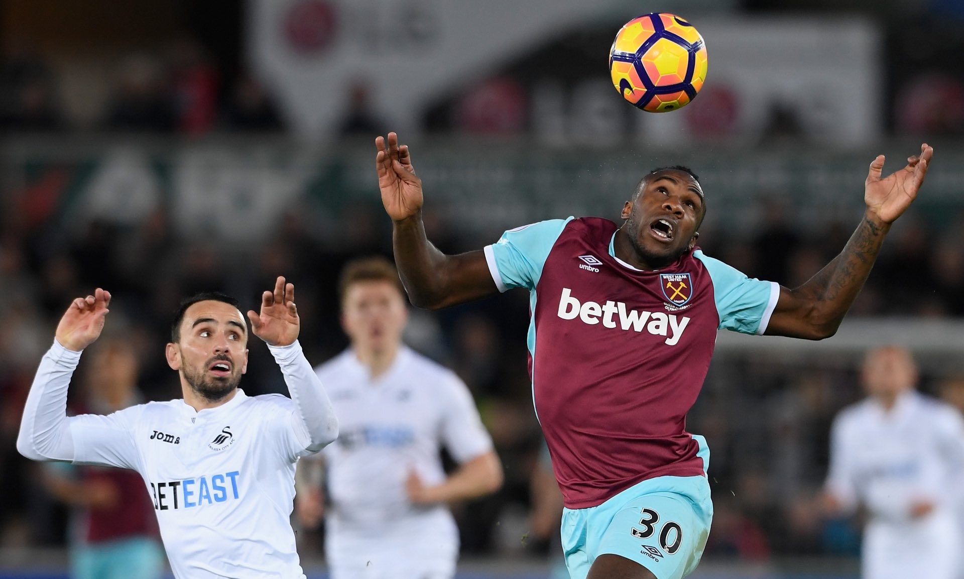 仅展现了出 仅展现了出